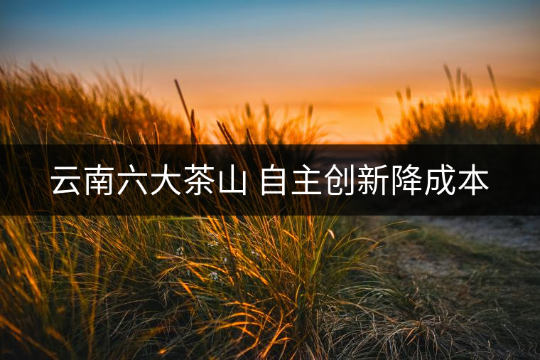 云南六大茶山 自主創(chuàng)新降成本 云南六大茶山 自主創(chuàng)新降成本