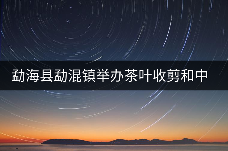 勐?？h勐混鎮(zhèn)舉辦茶葉收剪和中耕培土現(xiàn)場培訓會