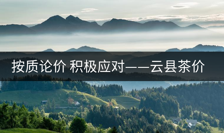 按質(zhì)論價(jià) 積極應(yīng)對——云縣茶價(jià)實(shí)現(xiàn)理性回歸