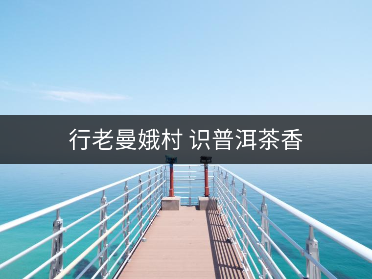 行老曼娥村 識普洱茶香