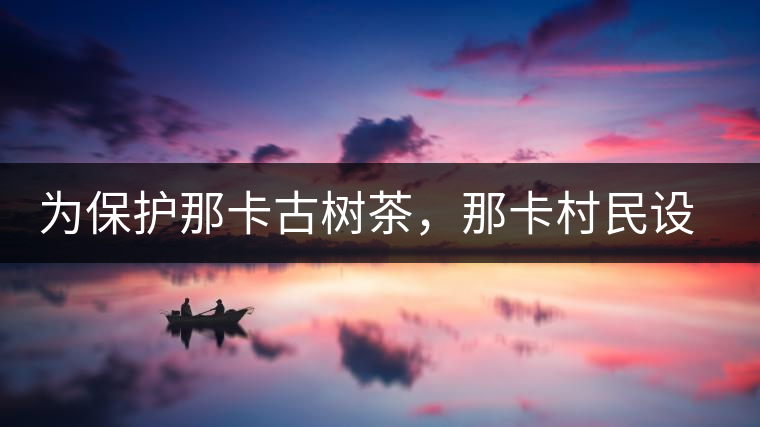 為保護那卡古樹茶，那卡村民設(shè)公約牌