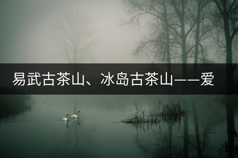 易武古茶山、冰島古茶山——愛茶人的旅游選擇
