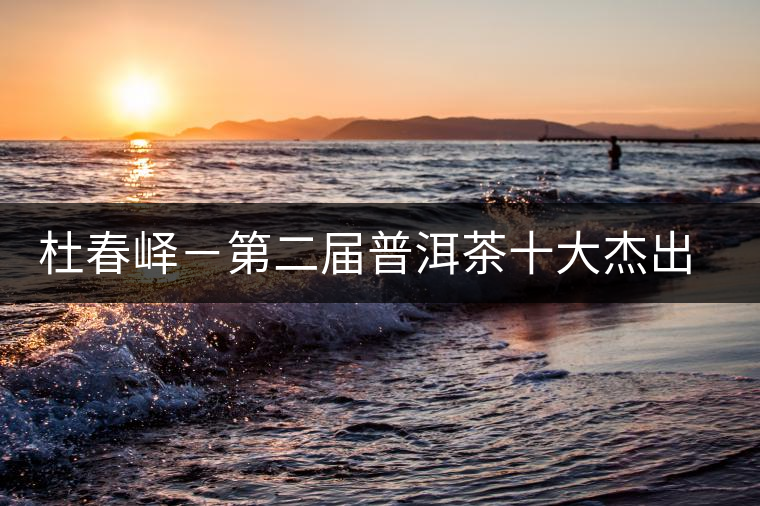 杜春嶧－第二屆普洱茶十大杰出人物介紹