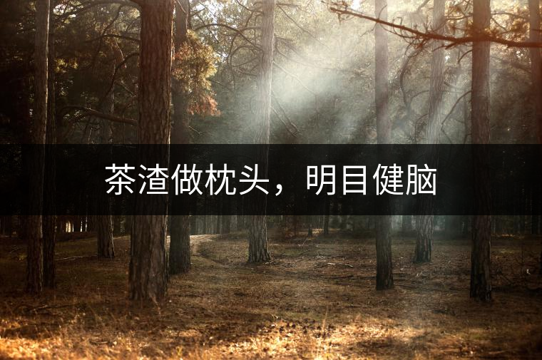 茶渣做枕頭，明目健腦