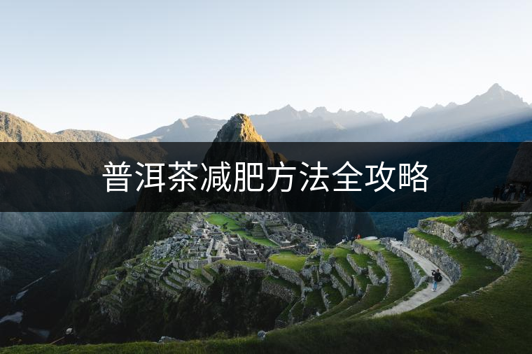 普洱茶減肥方法全攻略