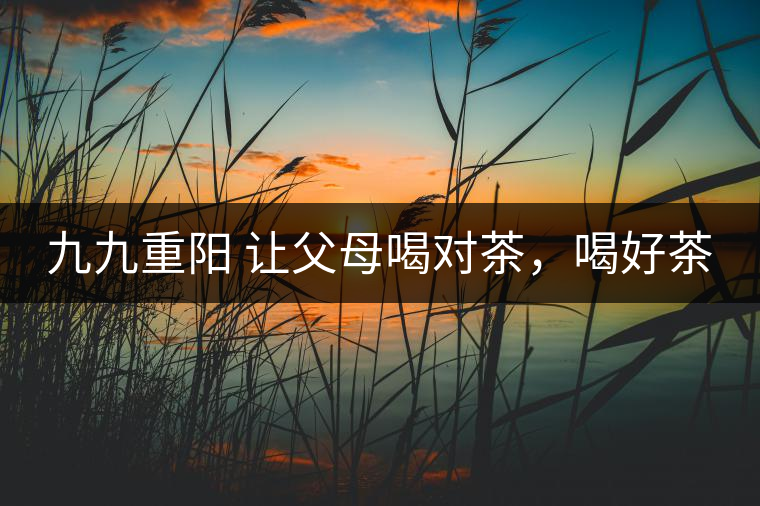 九九重陽 讓父母喝對(duì)茶，喝好茶