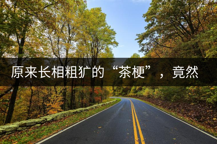 原來長相粗獷的“茶?！?，竟然還有這么多的作用