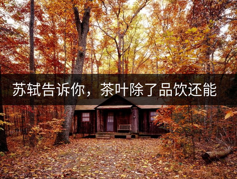 蘇軾告訴你，茶葉除了品飲還能做什么？