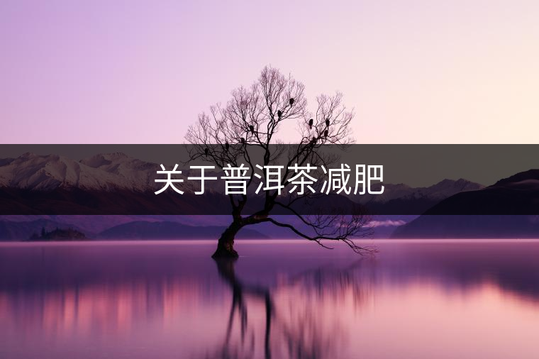 關于普洱茶減肥