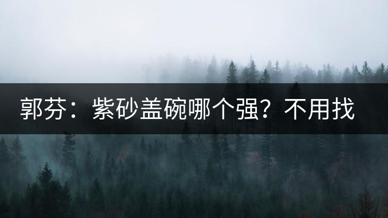 郭芬：紫砂蓋碗哪個強？不用找藍翔