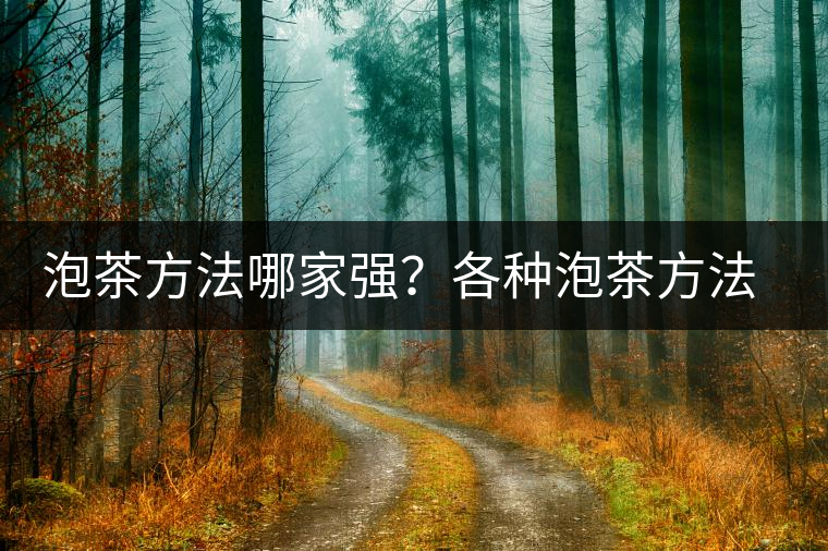 泡茶方法哪家強？各種泡茶方法介紹