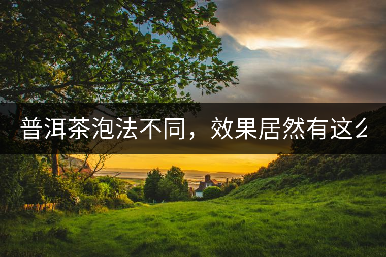 普洱茶泡法不同，效果居然有這么大區(qū)別！