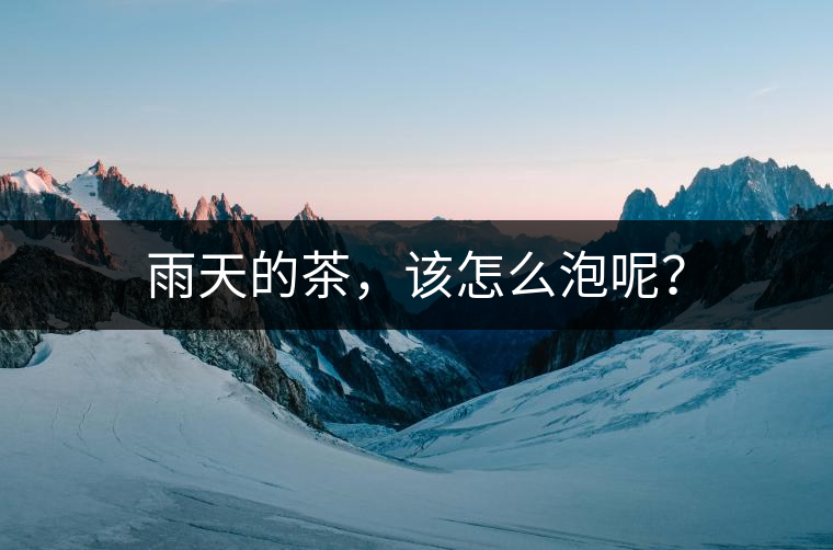 雨天的茶，該怎么泡呢？