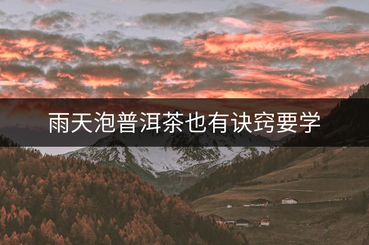 雨天泡普洱茶也有訣竅要學(xué)