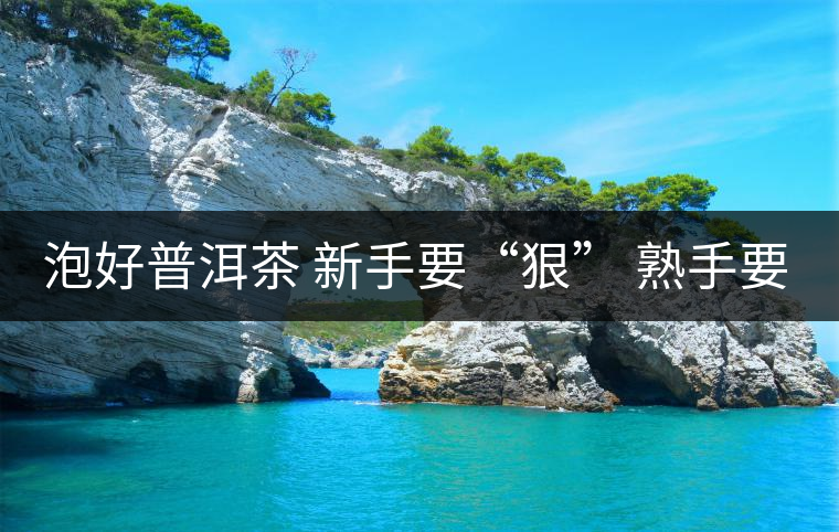 泡好普洱茶 新手要“狠” 熟手要“收”