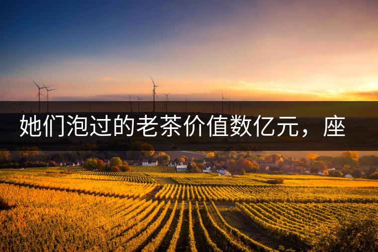 她們泡過(guò)的老茶價(jià)值數(shù)億元，座上賓是余秋雨、李云迪……