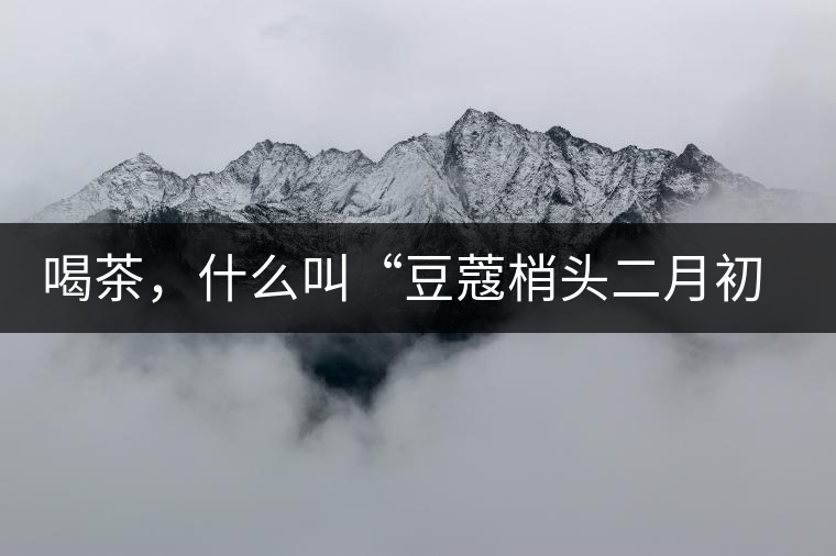 喝茶，什么叫“豆蔻梢頭二月初”？