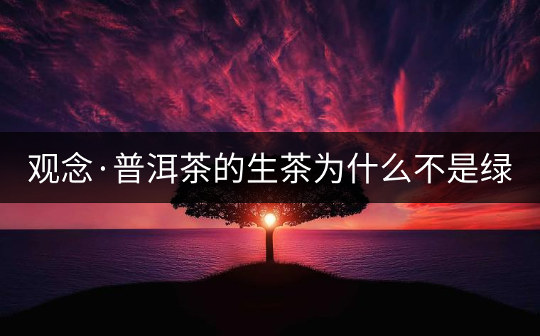 觀念·普洱茶的生茶為什么不是綠茶？