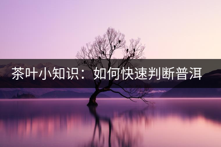 茶葉小知識：如何快速判斷普洱茶品級高低？