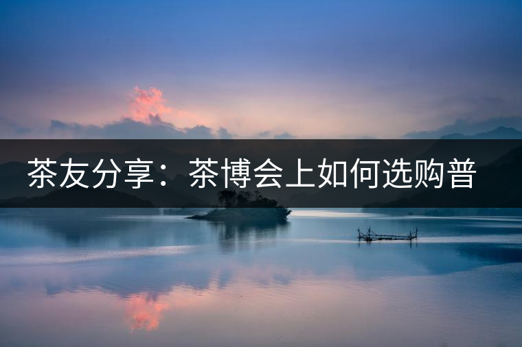茶友分享:茶博會(huì)上如何選購(gòu)普洱茶? 茶友分享:茶博會(huì)上如何選購(gòu)普洱茶?