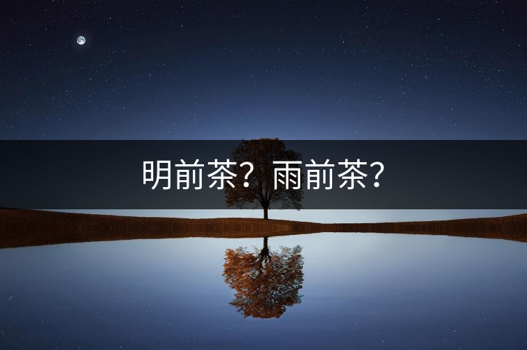 明前茶？雨前茶？
