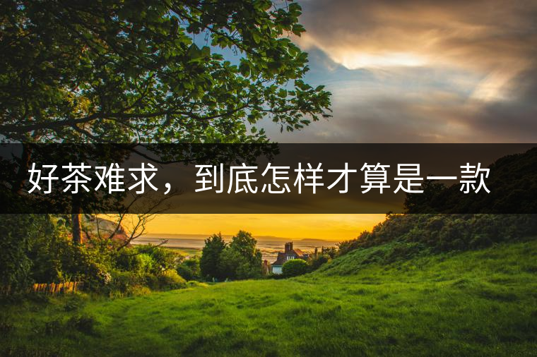 好茶難求，到底怎樣才算是一款好普洱茶？