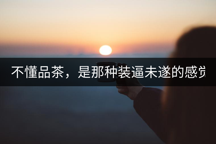 不懂品茶，是那種裝逼未遂的感覺？