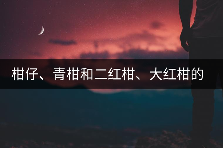 柑仔、青柑和二紅柑、大紅柑的區(qū)別，你可知道？