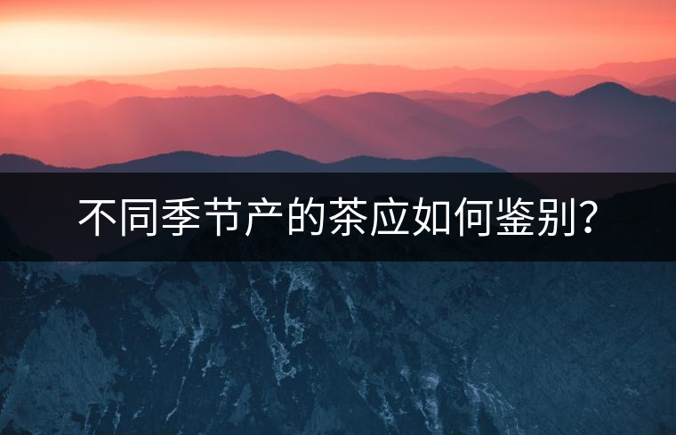 不同季節(jié)產(chǎn)的茶應(yīng)如何鑒別？