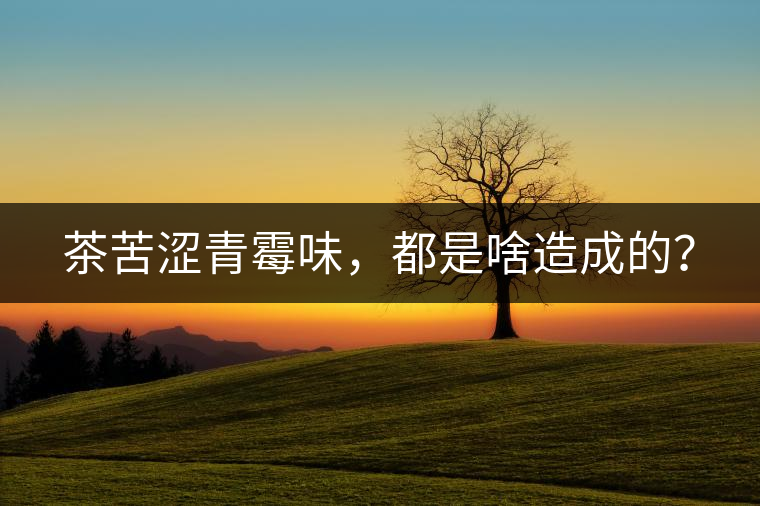 茶苦澀青霉味，都是啥造成的？