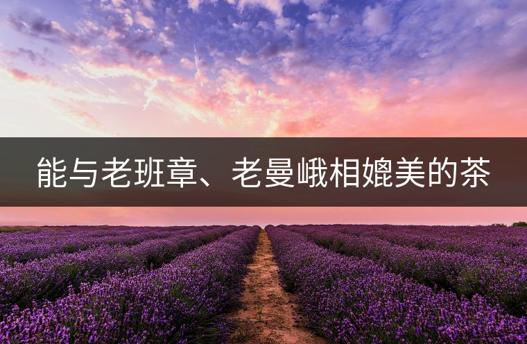 能與老班章、老曼峨相媲美的茶