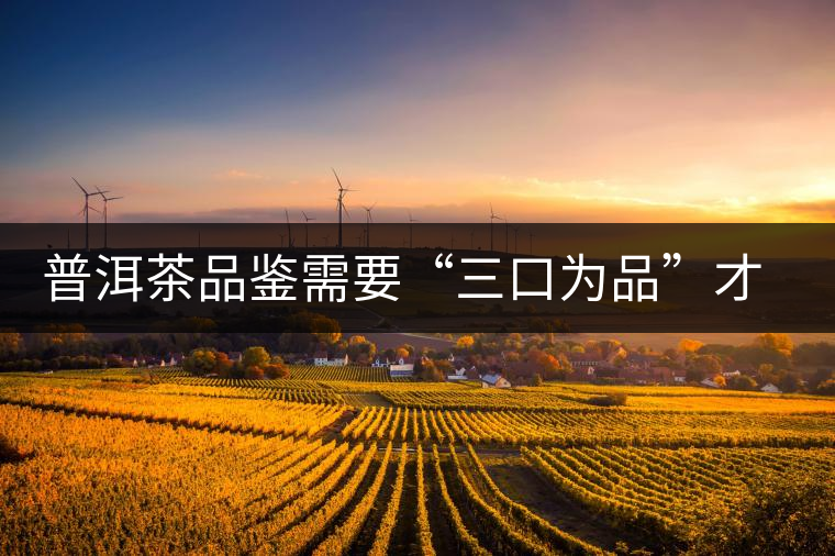 普洱茶品鑒需要“三口為品”才真實(shí)，那從哪里入手品鑒呢？