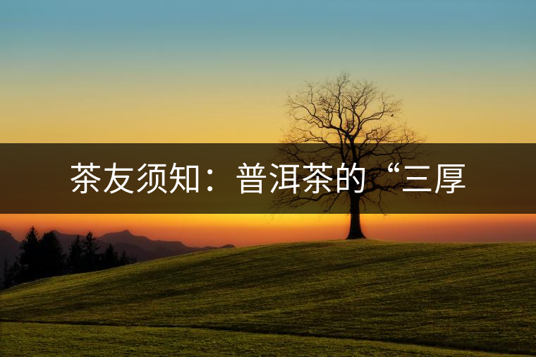 茶友須知:普洱茶的“三厚 茶友須知:普洱茶的“三厚