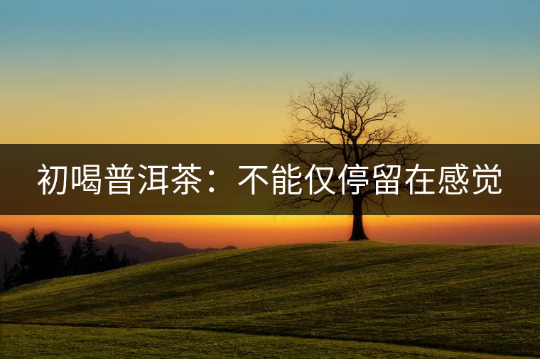 初喝普洱茶:不能僅停留在感覺(jué) 初喝普洱茶:不能僅停留在感覺(jué)