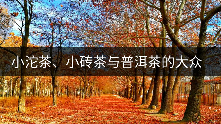 小沱茶、小磚茶與普洱茶的大眾化之路