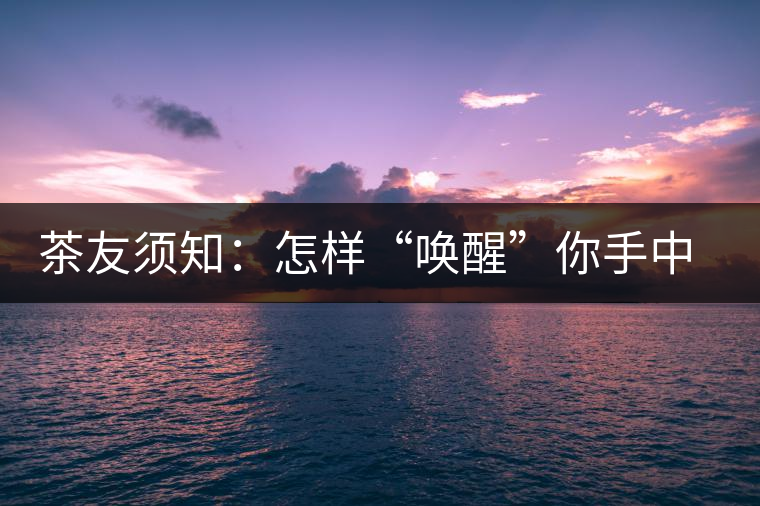 茶友須知：怎樣“喚醒”你手中的那一餅普洱茶？