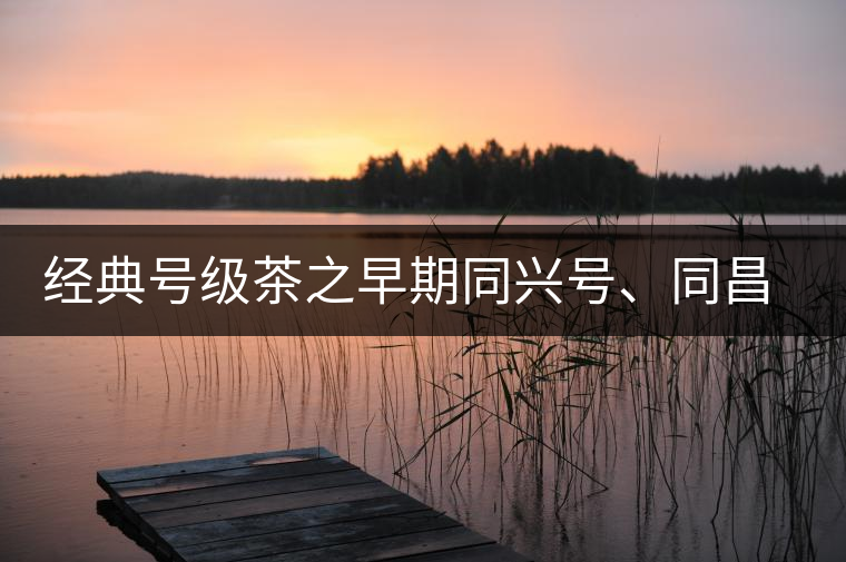 經(jīng)典號級茶之早期同興號、同昌黃記老圓茶