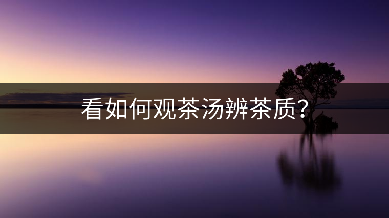 看如何觀茶湯辨茶質(zhì)？