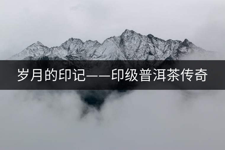 歲月的印記——印級普洱茶傳奇 歲月的印記——印級普洱茶傳奇