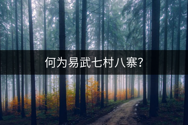 何為易武七村八寨？