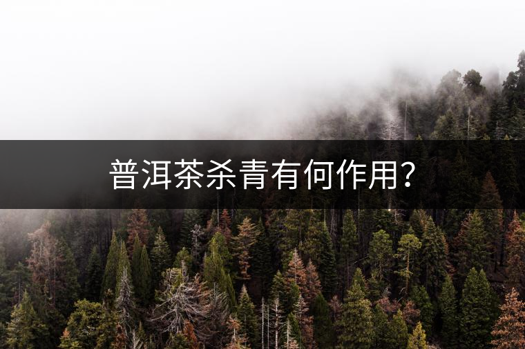 普洱茶殺青有何作用? 普洱茶殺青有何作用?