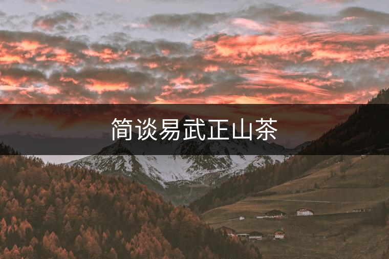 簡談易武正山茶 簡談易武正山茶