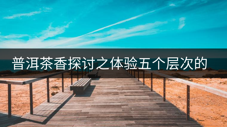 普洱茶香探討之體驗(yàn)五個(gè)層次的普洱茶香 普洱茶香探討之體驗(yàn)五個(gè)層次的普洱茶香