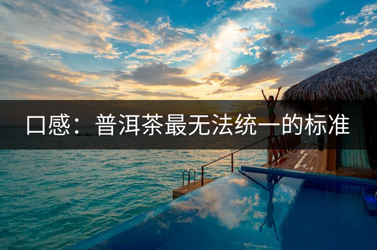 口感:普洱茶最無(wú)法統(tǒng)一的標(biāo)準(zhǔn) 口感:普洱茶最無(wú)法統(tǒng)一的標(biāo)準(zhǔn)