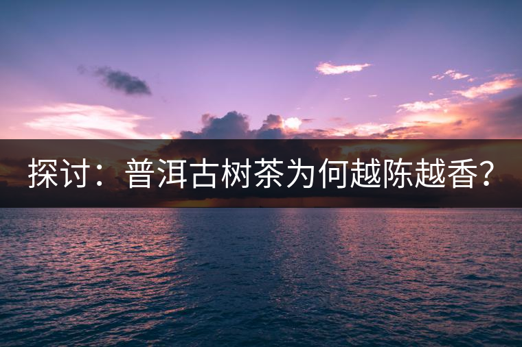 探討：普洱古樹茶為何越陳越香？