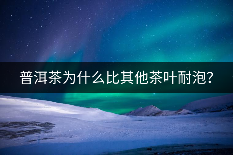 普洱茶為什么比其他茶葉耐泡？