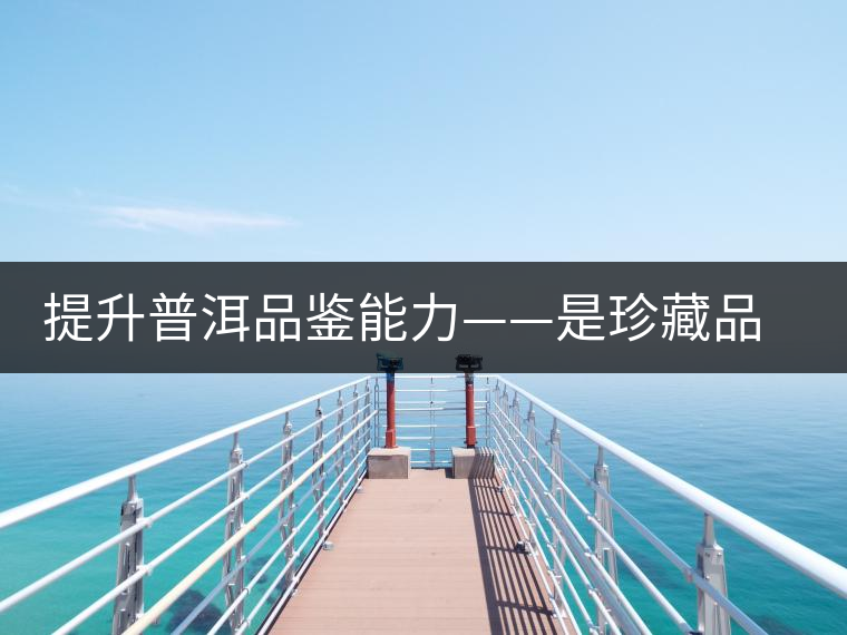 提升普洱品鑒能力——是珍藏品質(zhì)好茶唯一方法