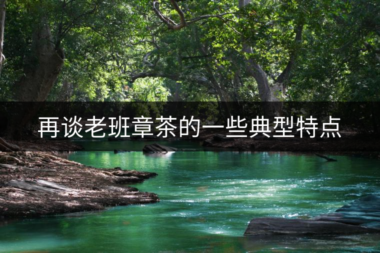 再談老班章茶的一些典型特點(diǎn) 再談老班章茶的一些典型特點(diǎn)