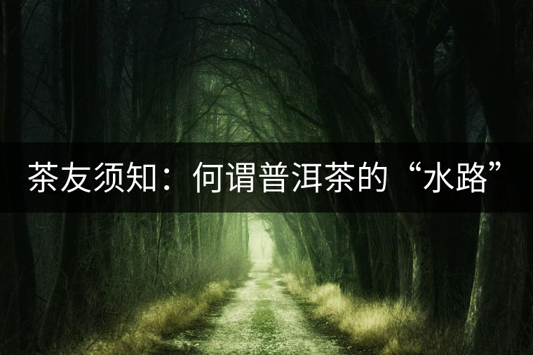 茶友須知：何謂普洱茶的“水路”？