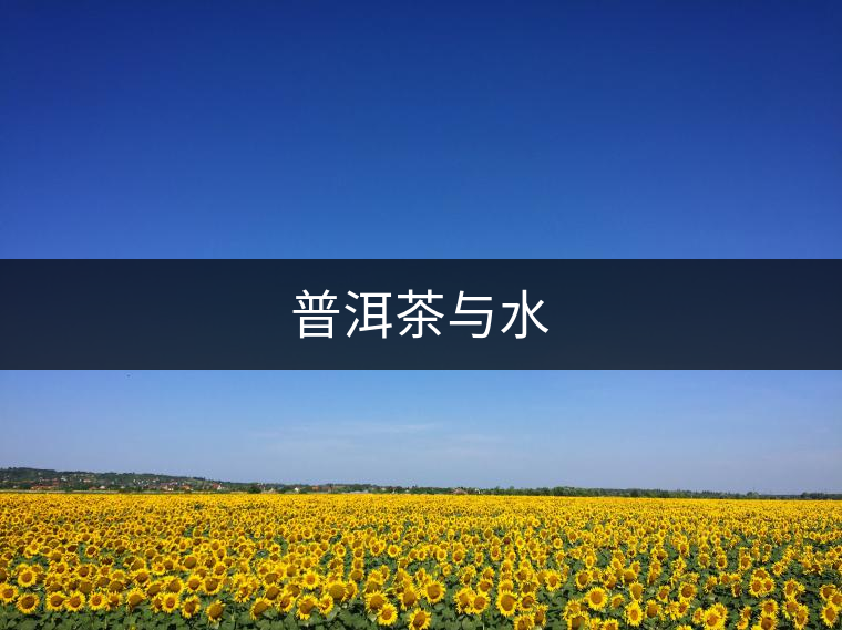 普洱茶與水 普洱茶與水